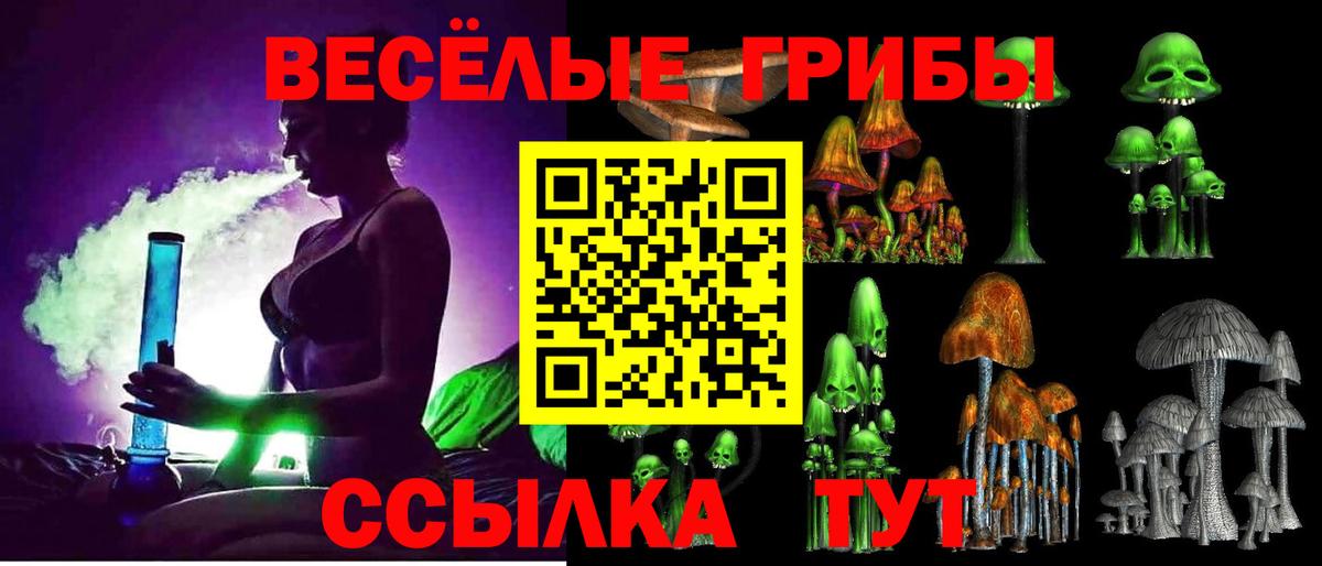 Коркино  Псилоцибиновые грибы MAGIC MUSHROOMS  купить наркотик  Вход с VPN  Галлюциногенные грибы Magic Shrooms 